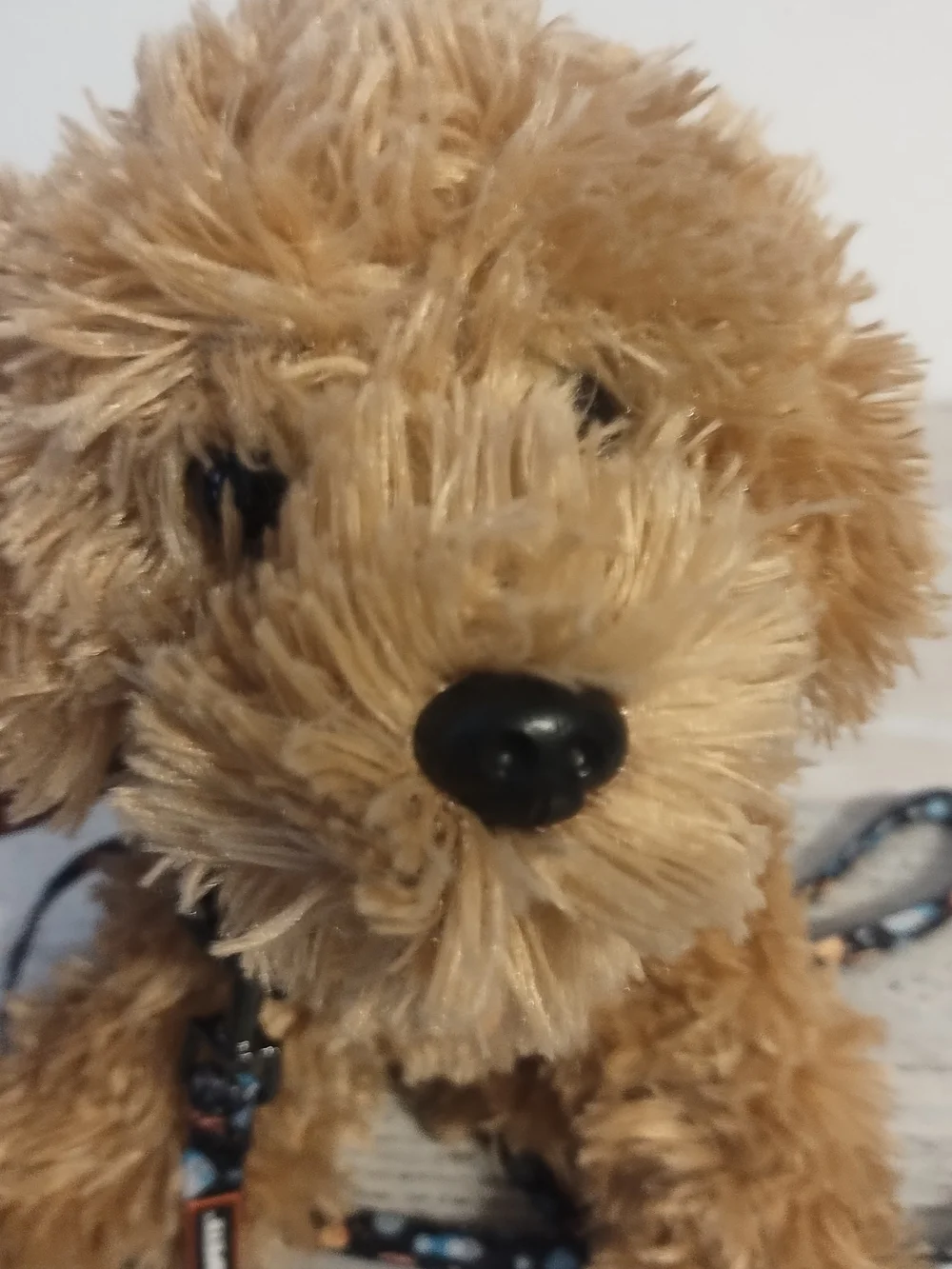 Plush Dog with Space Themed Leash toy plush good condition